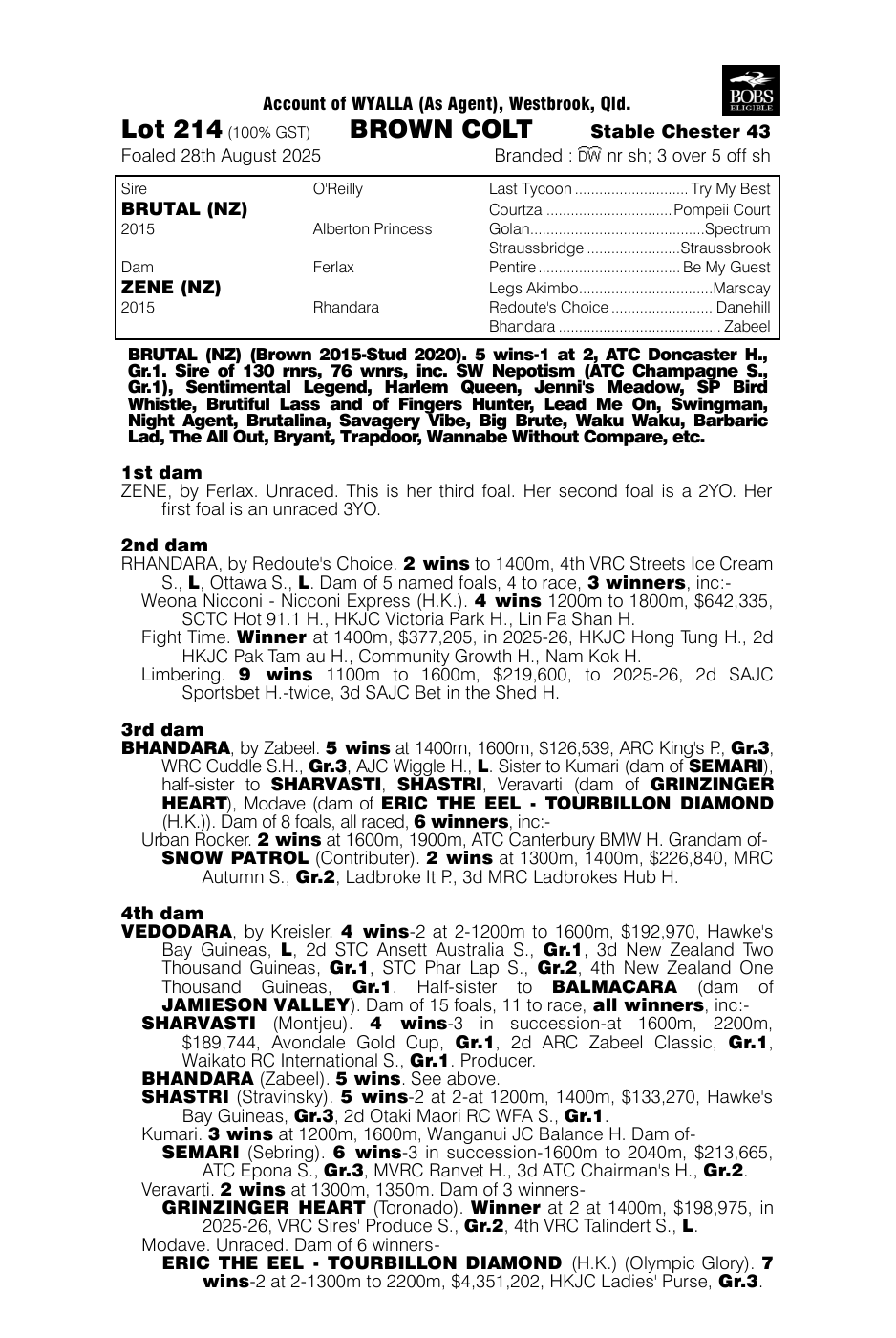 Pedigree - Lot 214