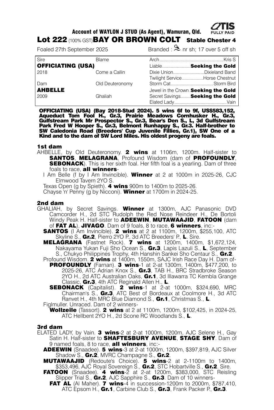 Pedigree - Lot 222