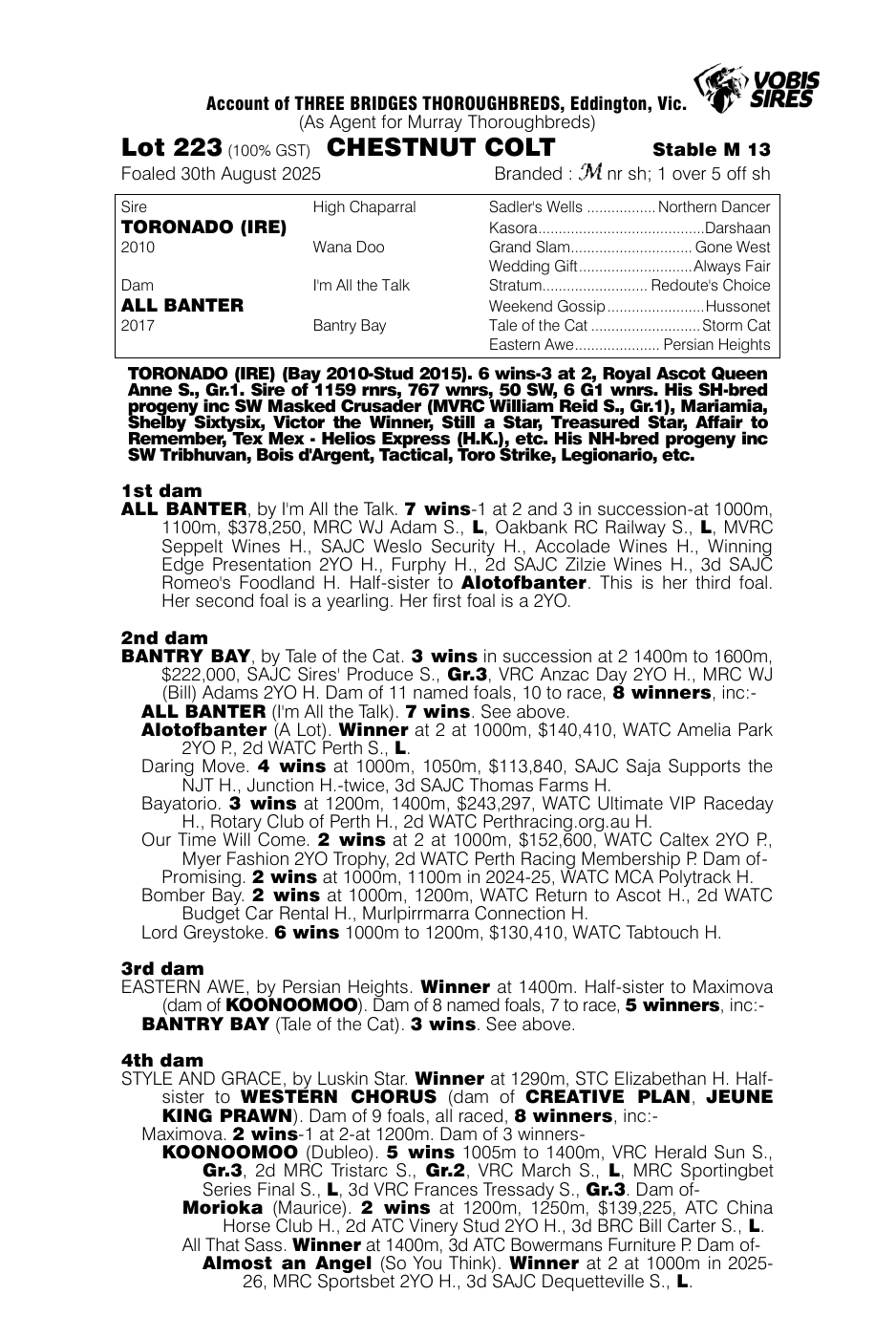Pedigree - Lot 223