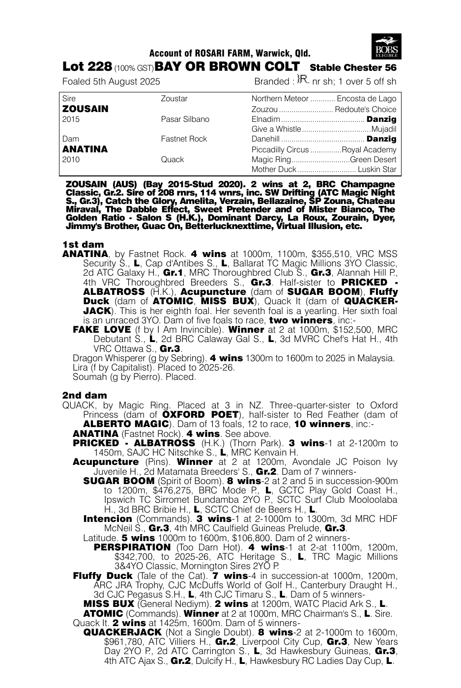 Pedigree - Lot 228