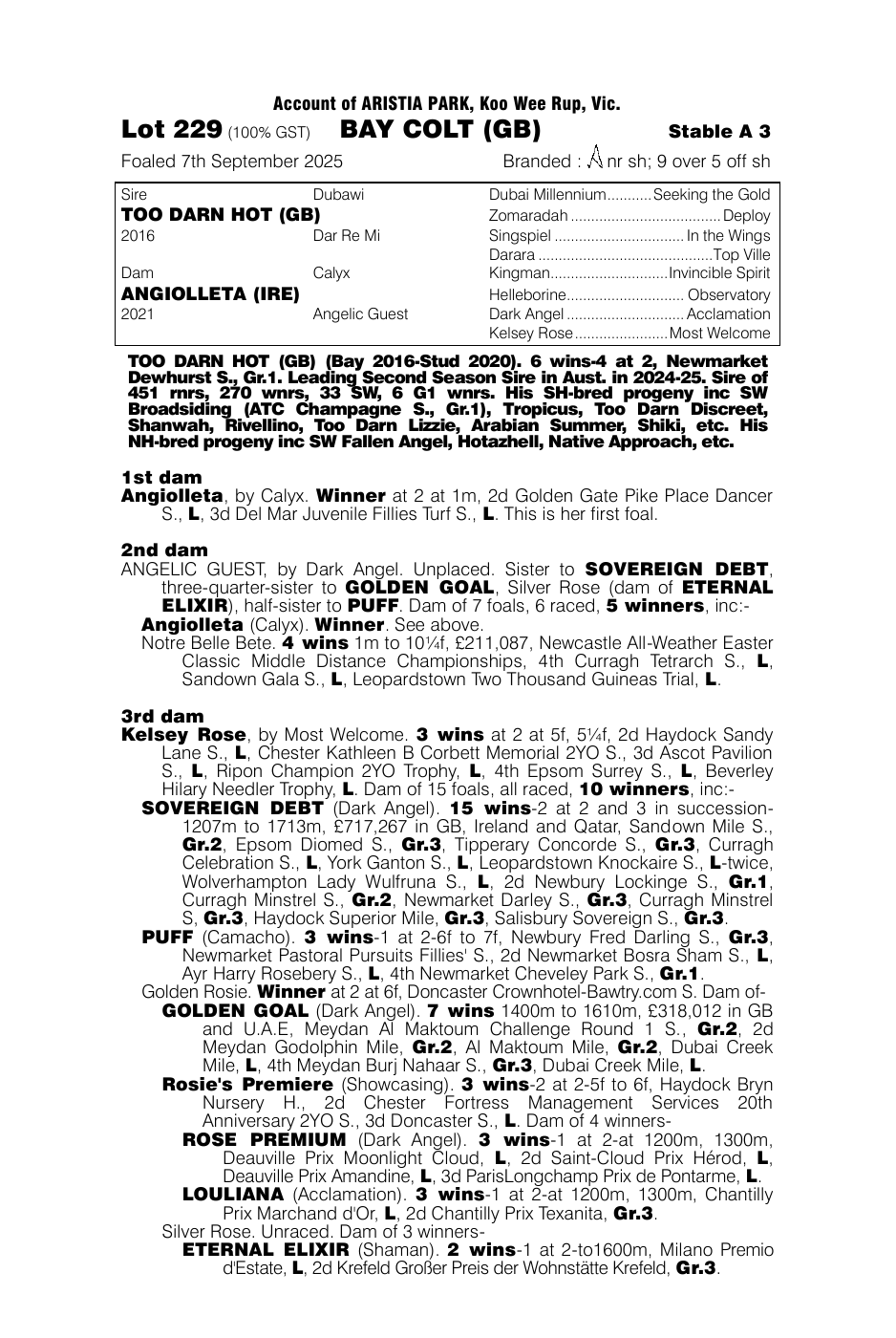 Pedigree - Lot 229