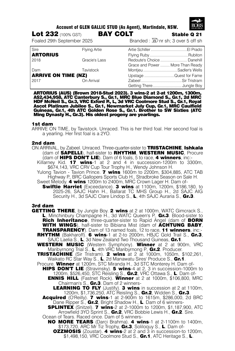 Pedigree - Lot 232