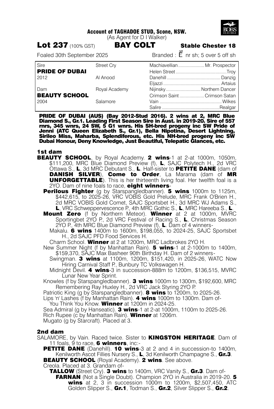 Pedigree - Lot 237