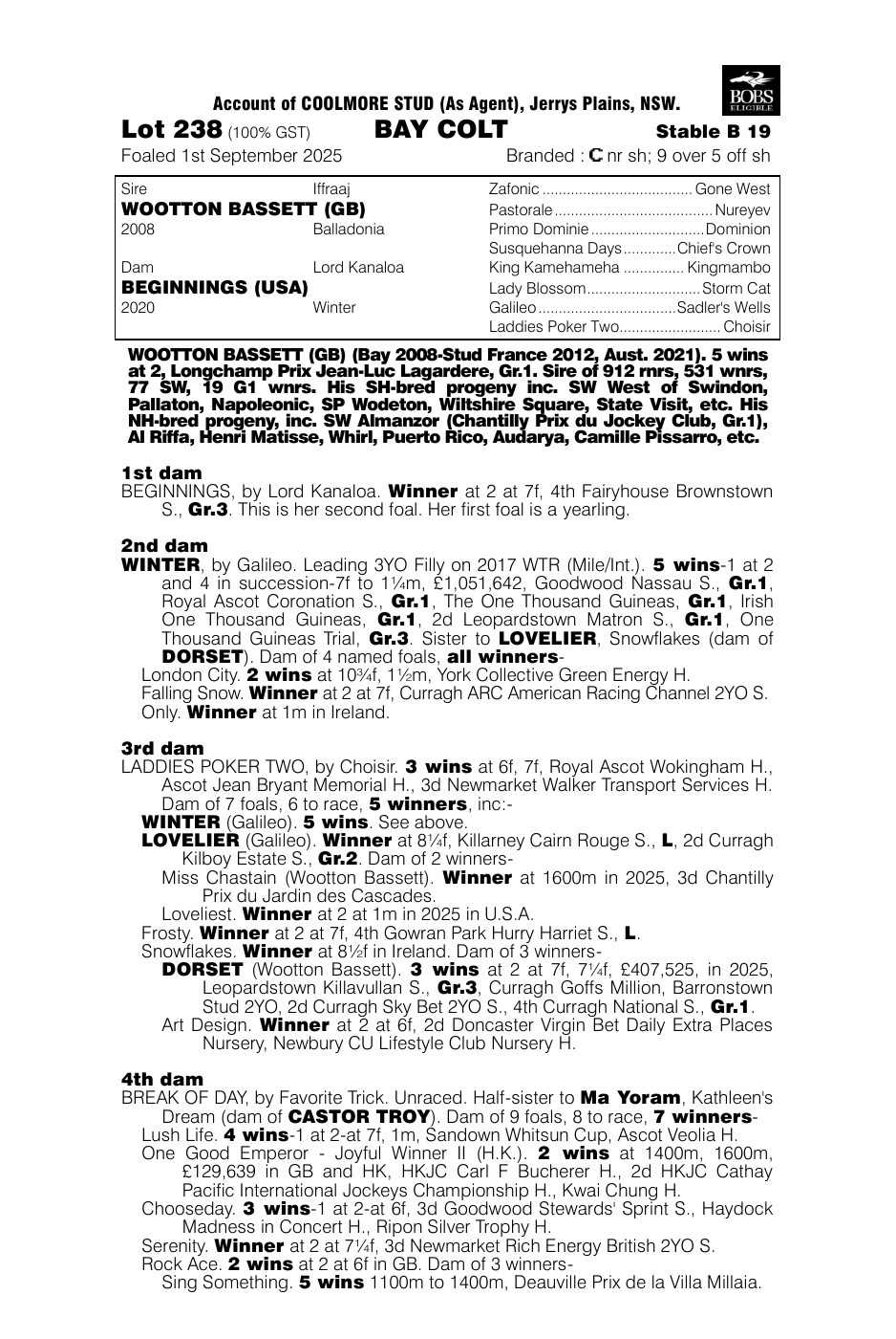 Pedigree - Lot 238