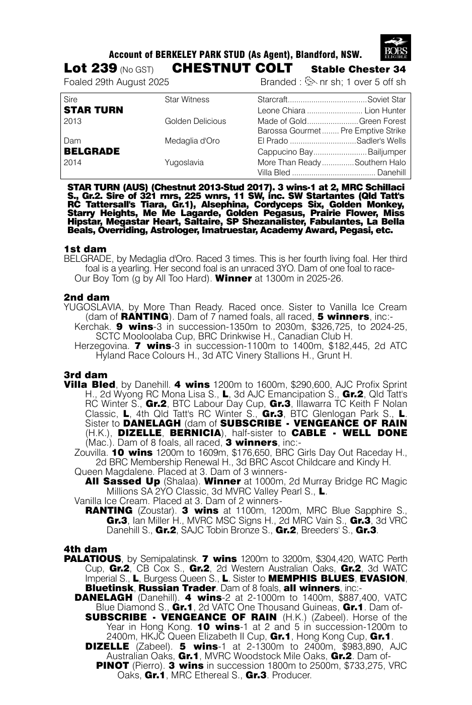 Pedigree - Lot 239