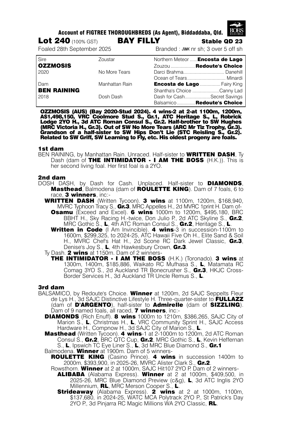 Pedigree - Lot 240