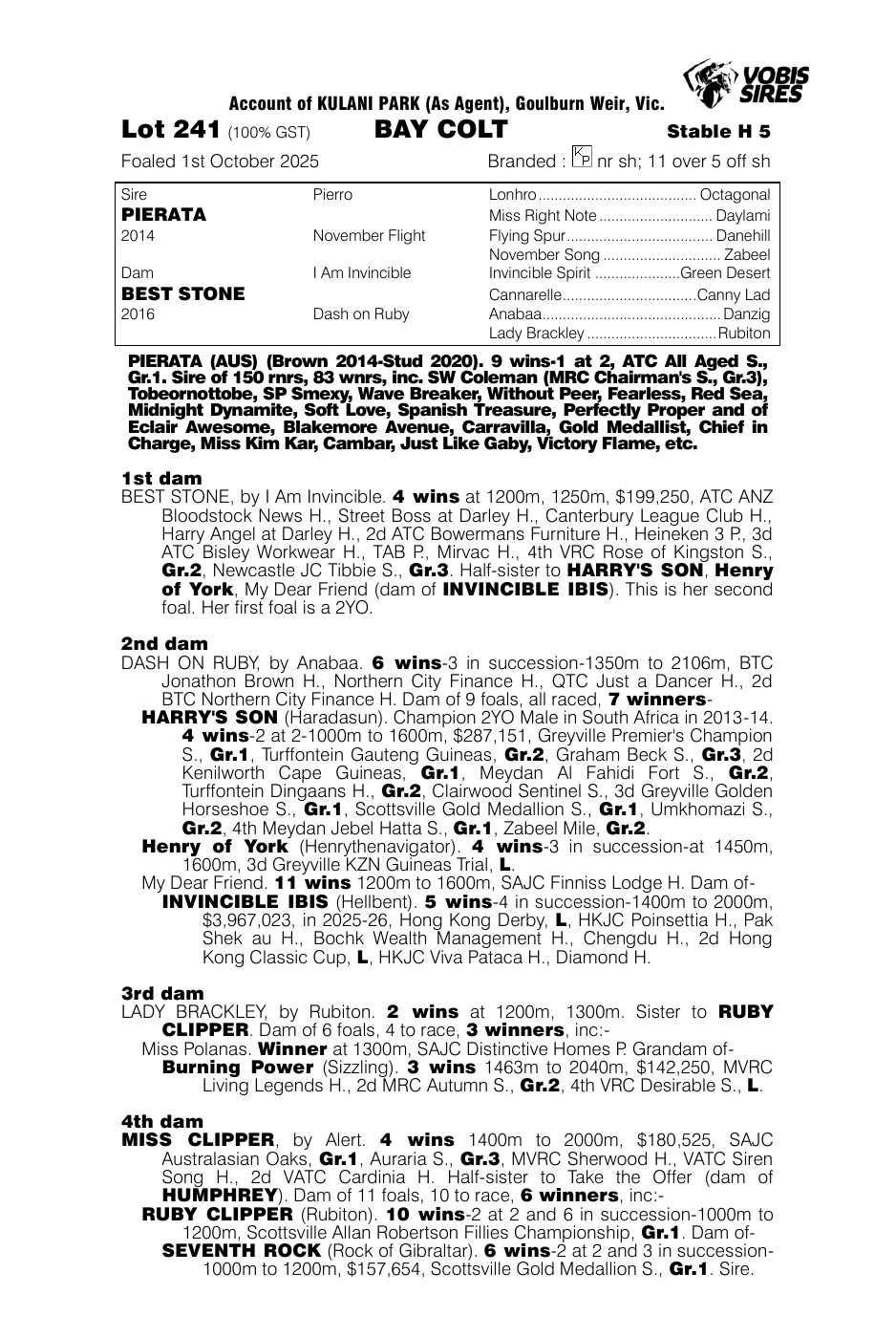 Pedigree - Lot 241