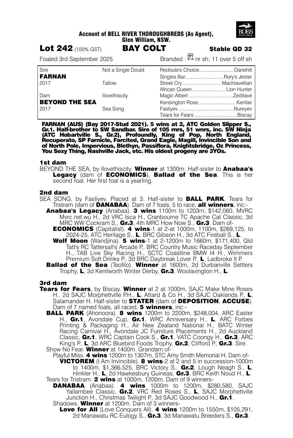 Pedigree - Lot 242