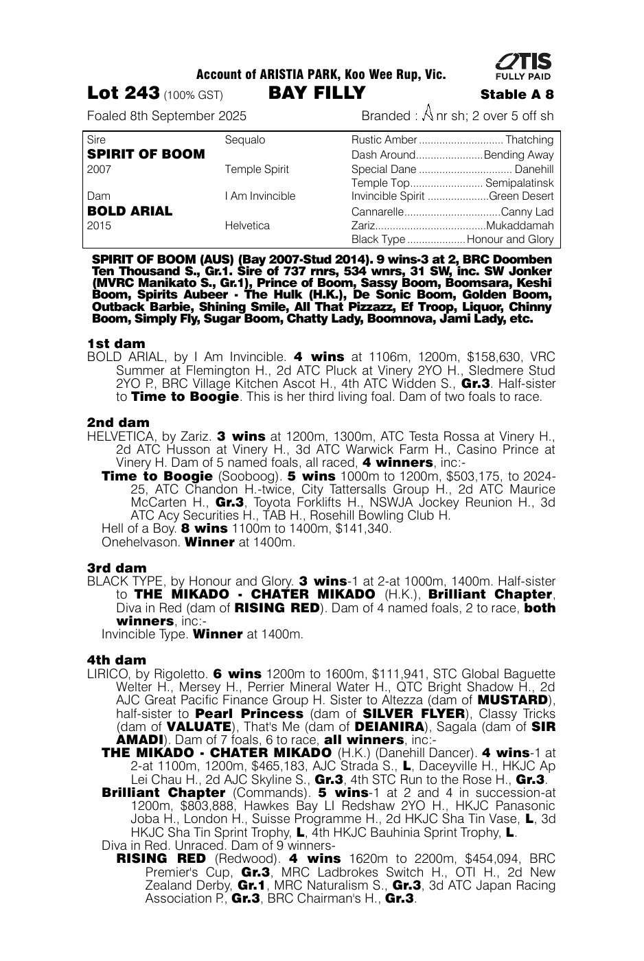 Pedigree - Lot 243