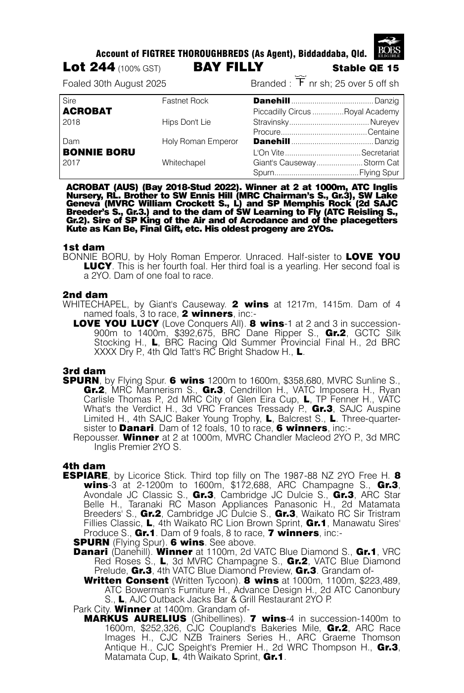 Pedigree - Lot 244