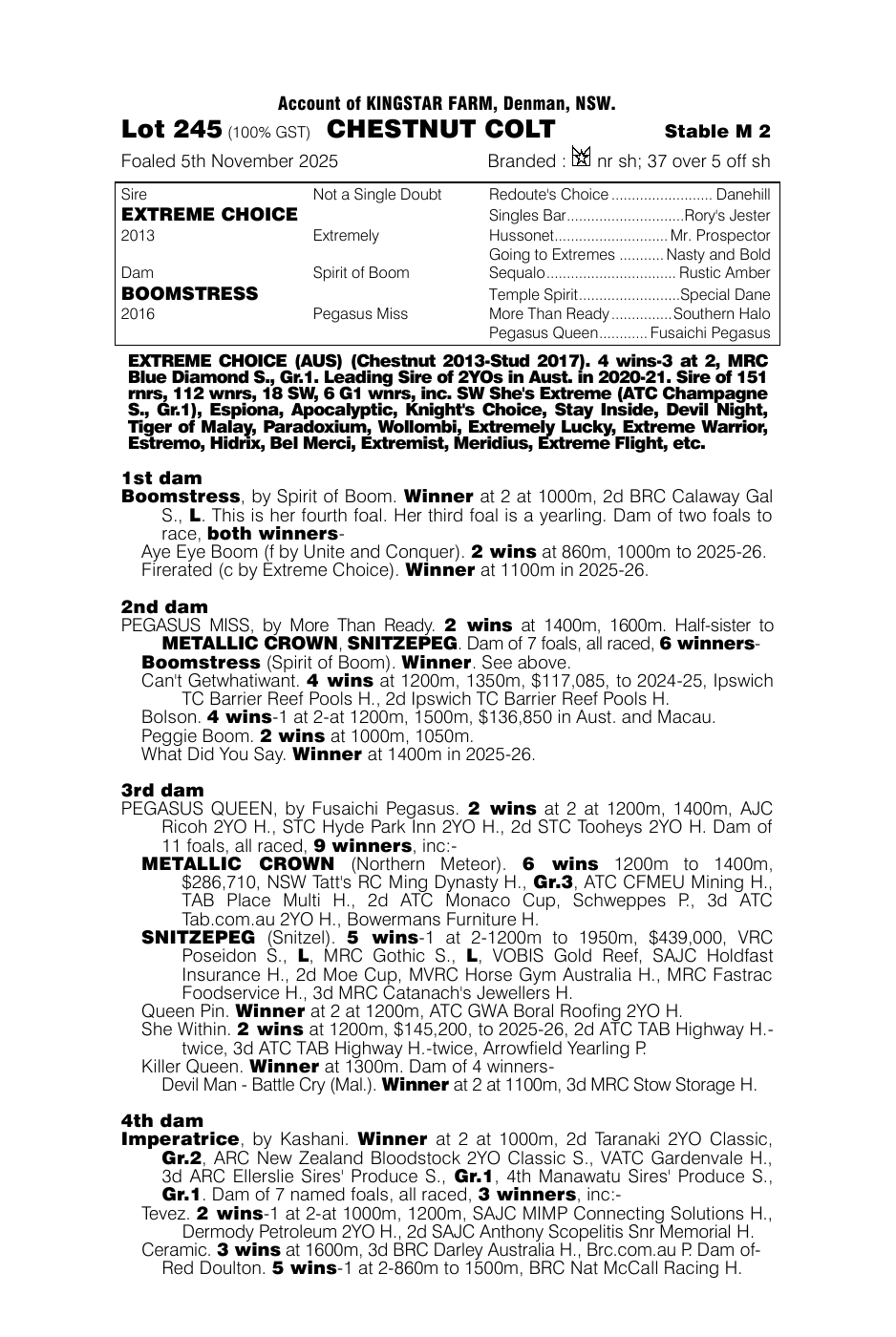 Pedigree - Lot 245