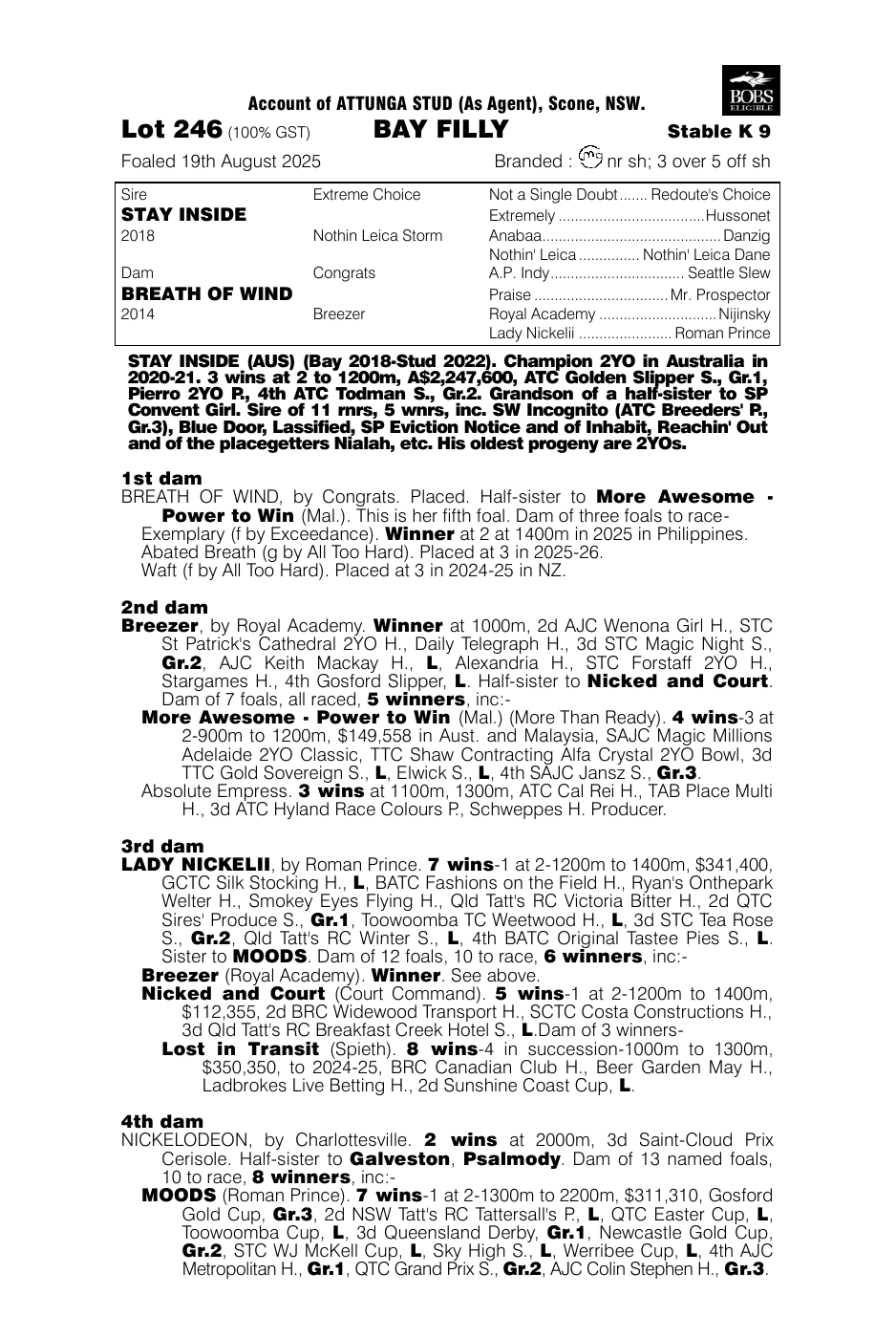 Pedigree - Lot 246