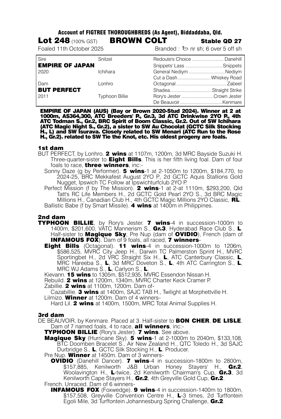 Pedigree - Lot 248