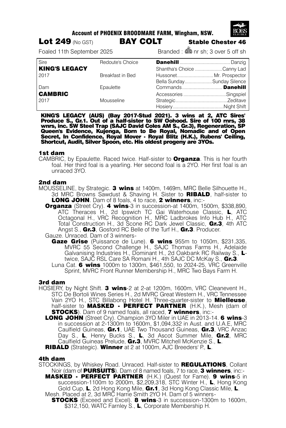 Pedigree - Lot 249