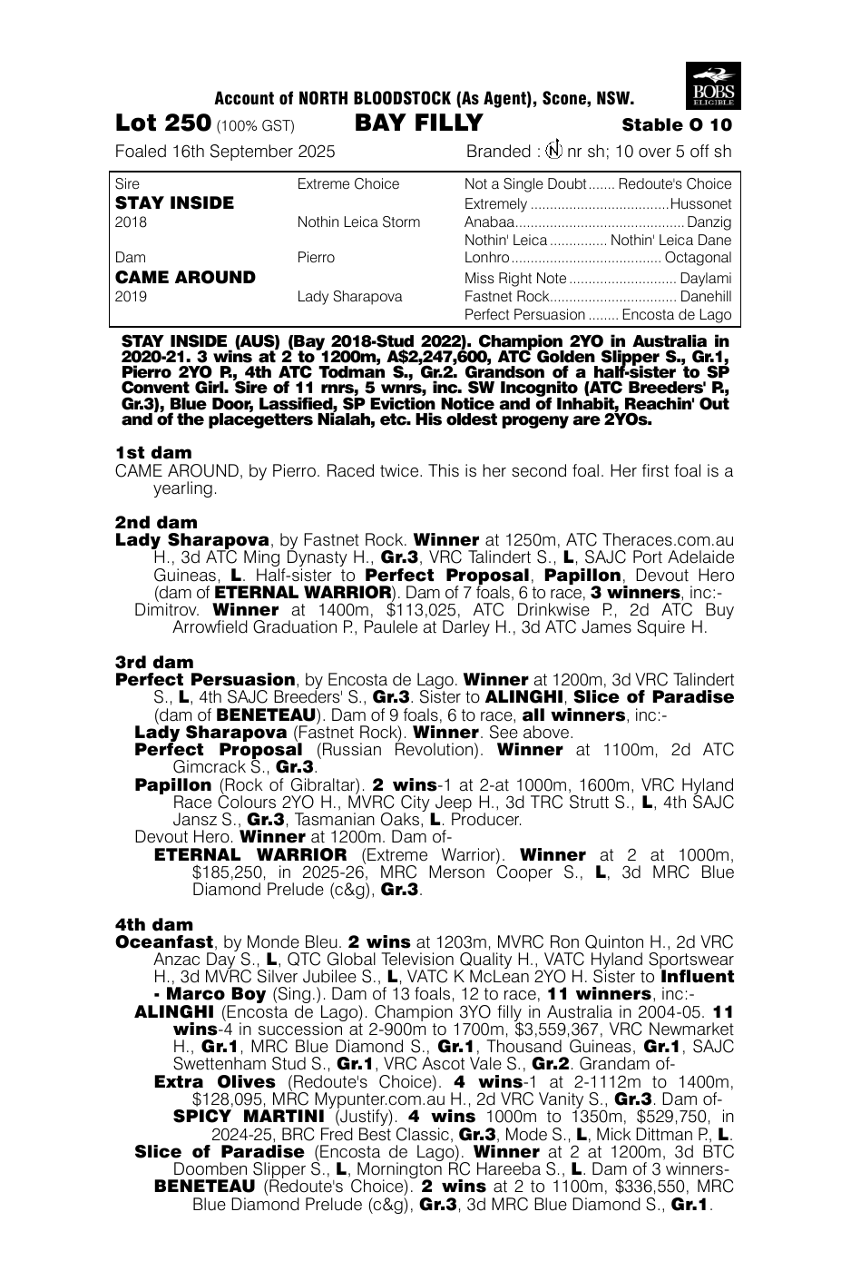 Pedigree - Lot 250