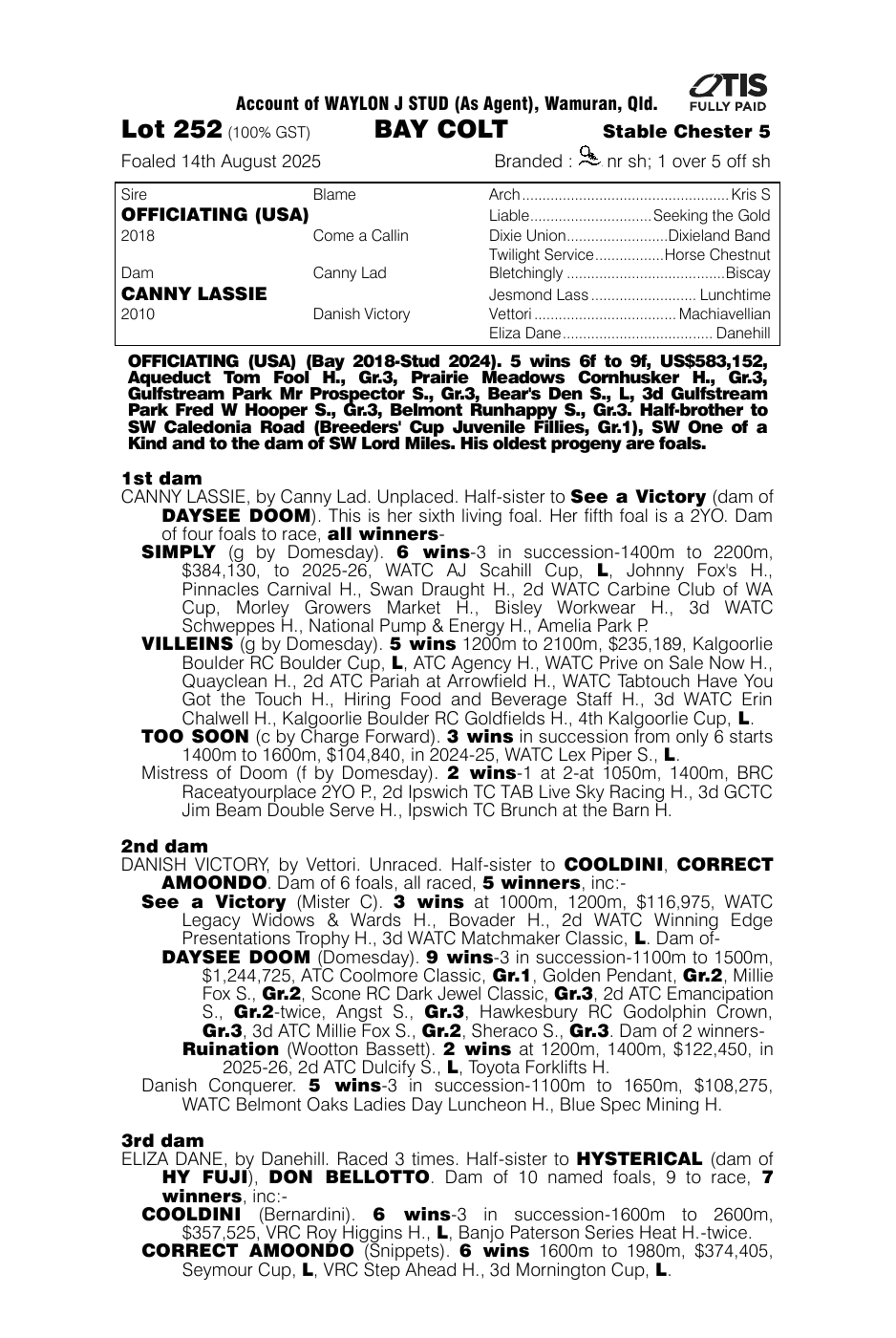 Pedigree - Lot 252