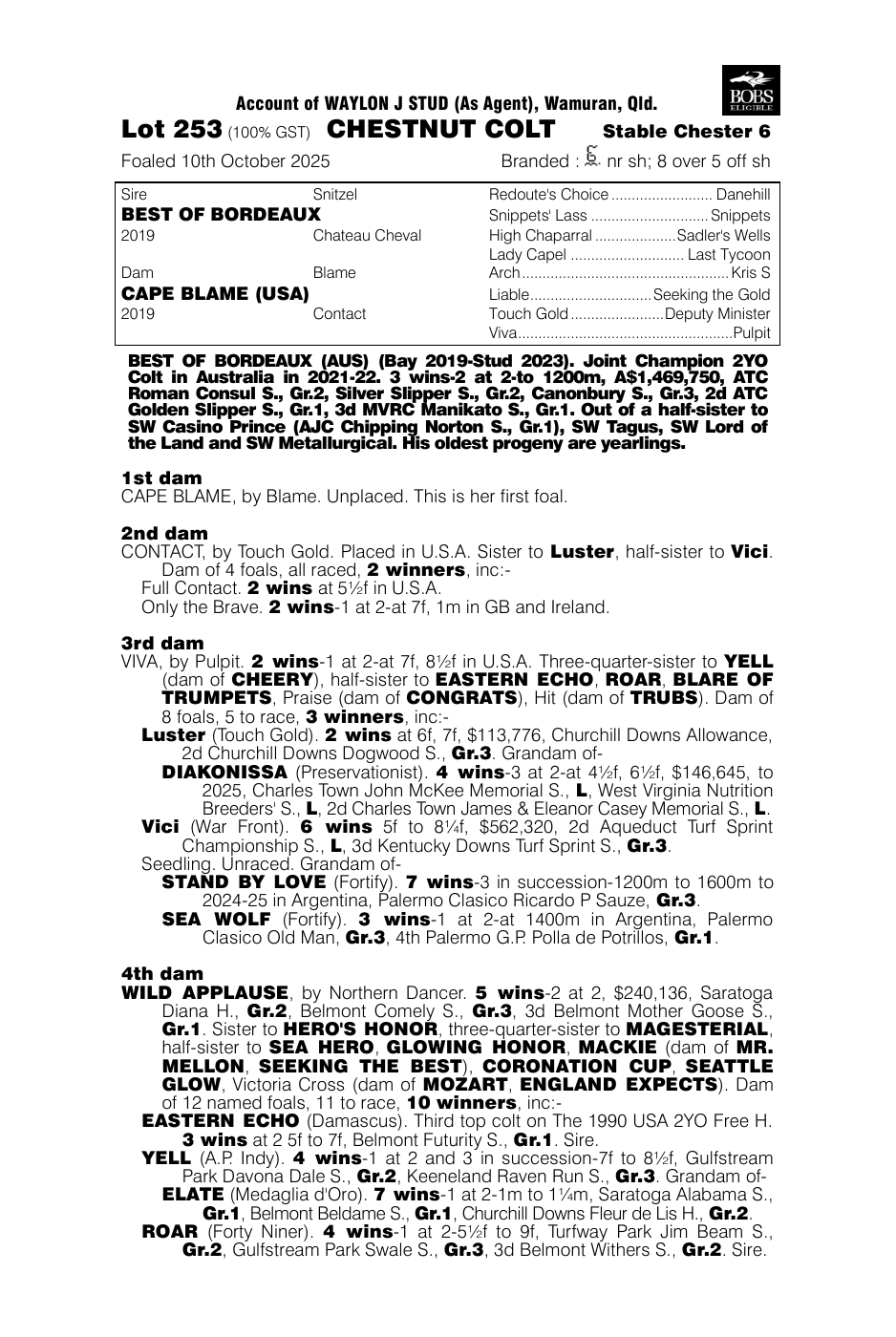 Pedigree - Lot 253