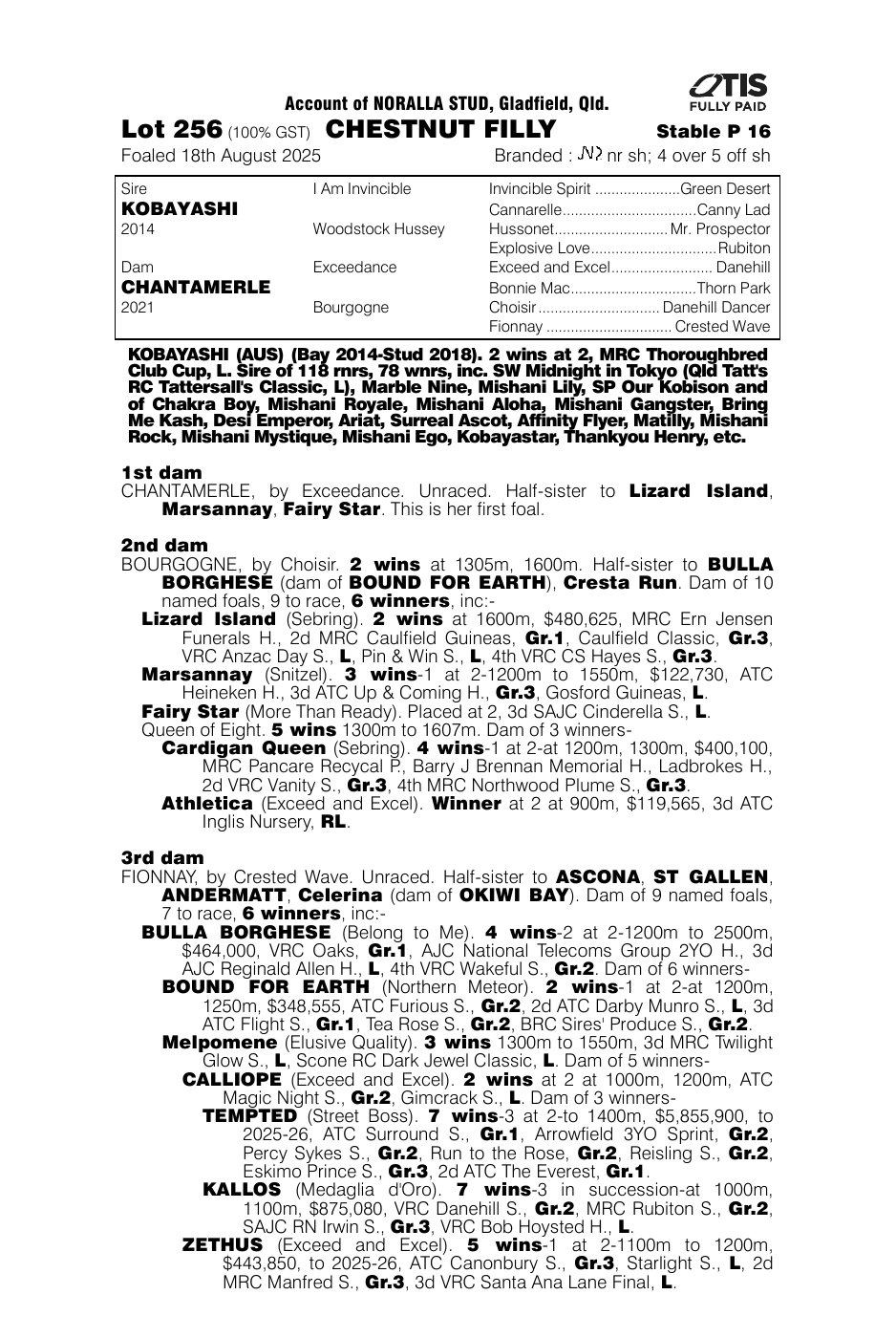 Pedigree - Lot 256