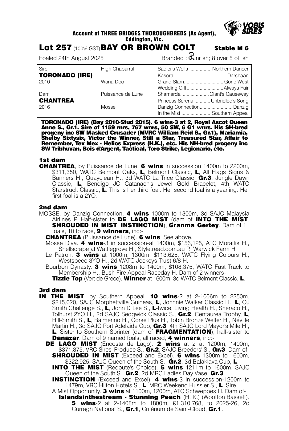 Pedigree - Lot 257
