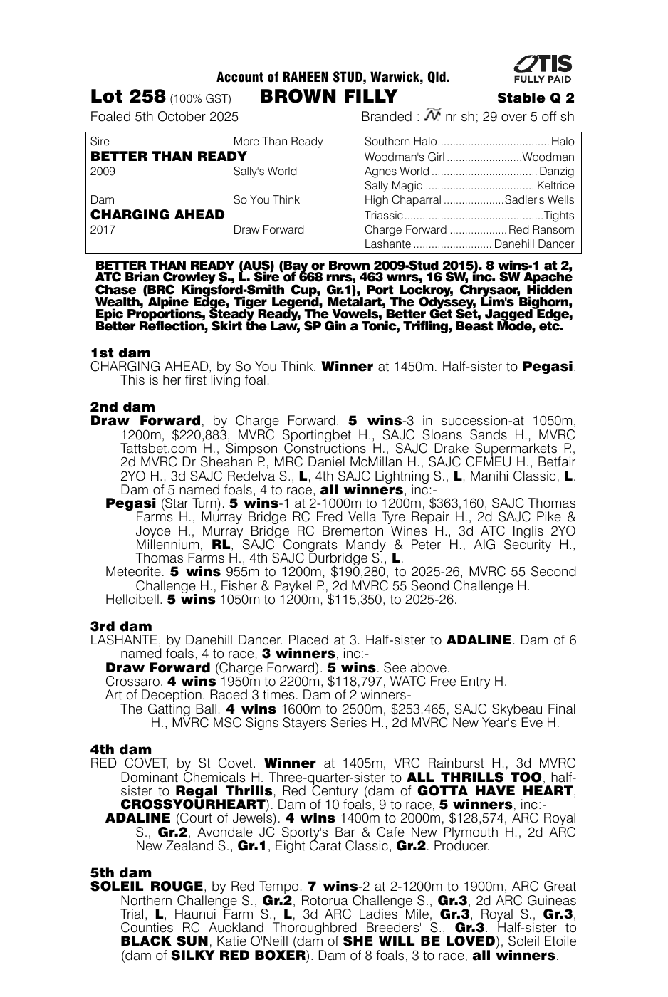 Pedigree - Lot 258