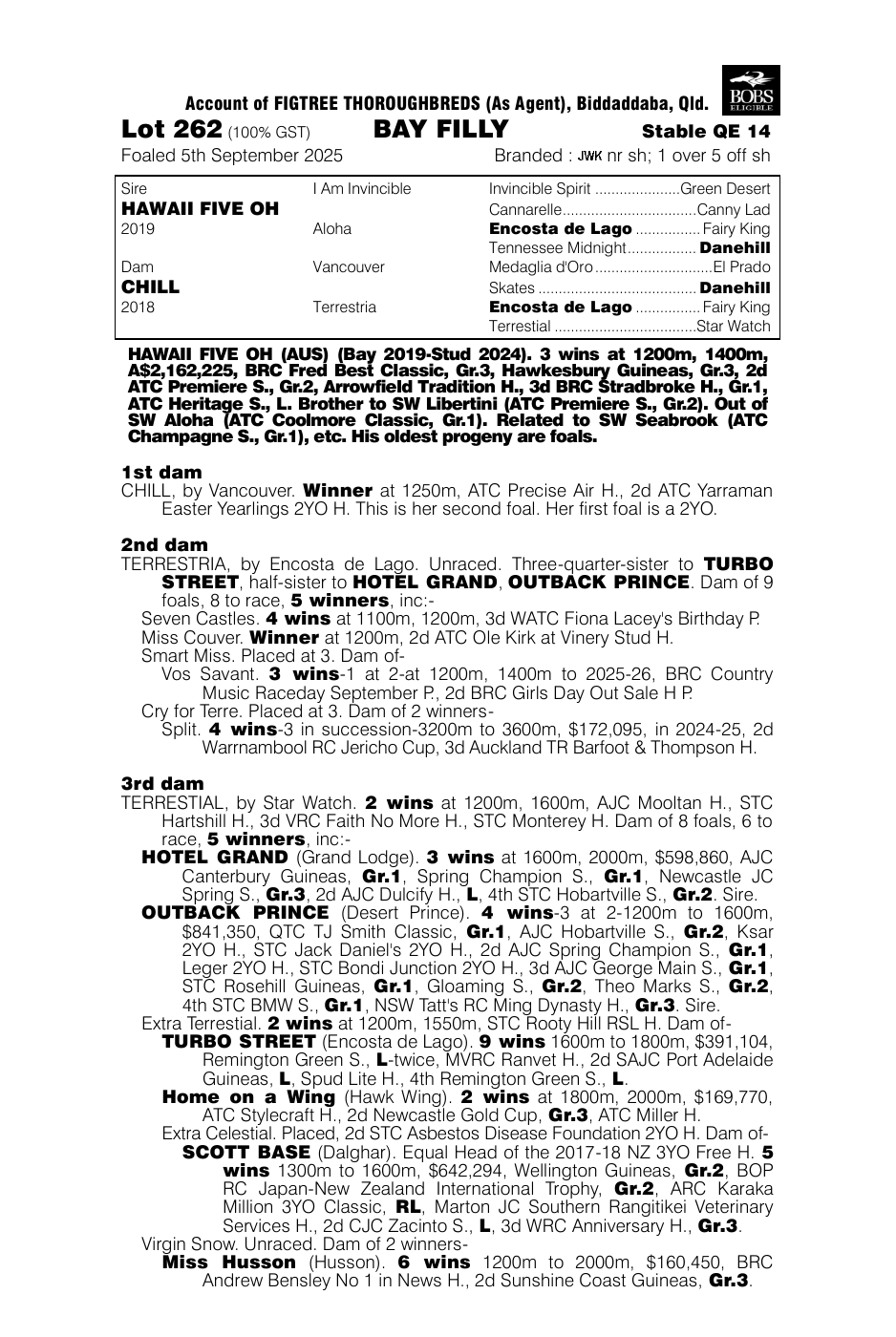 Pedigree - Lot 262