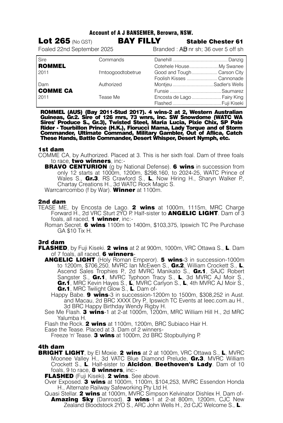 Pedigree - Lot 265