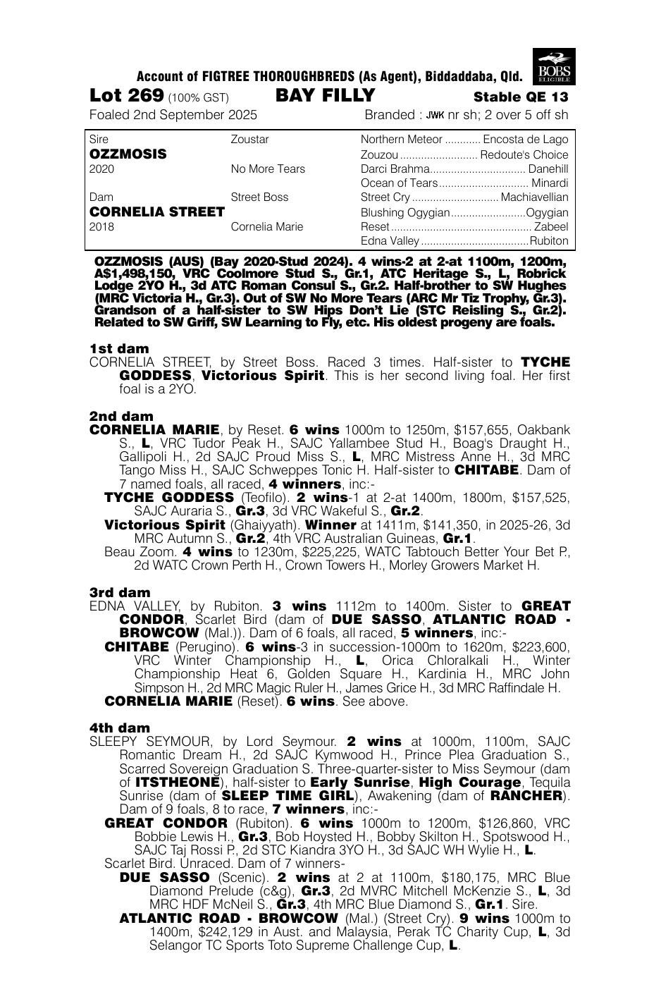 Pedigree - Lot 269