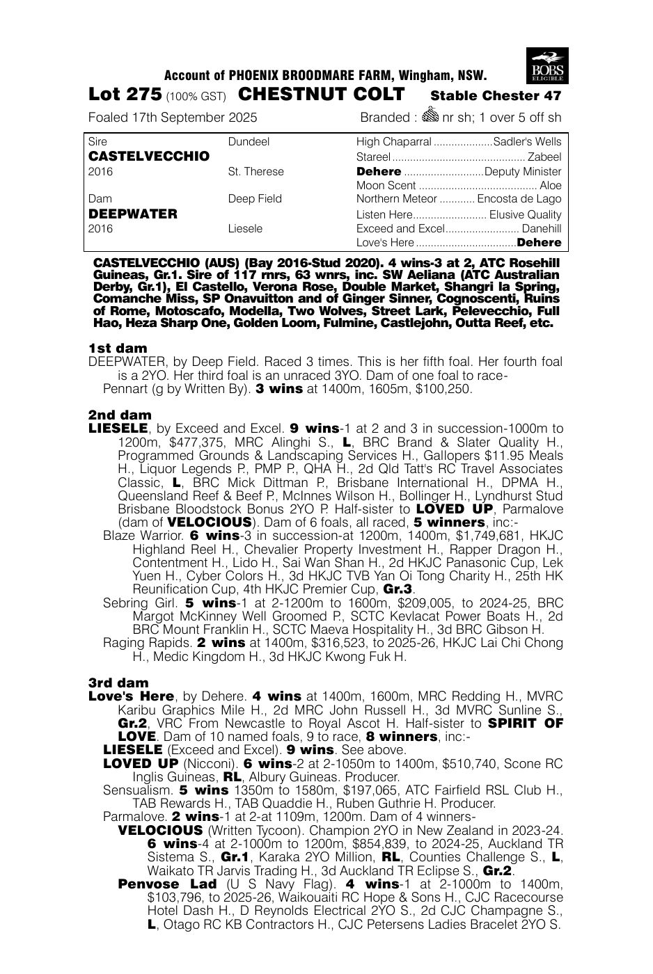 Pedigree - Lot 275