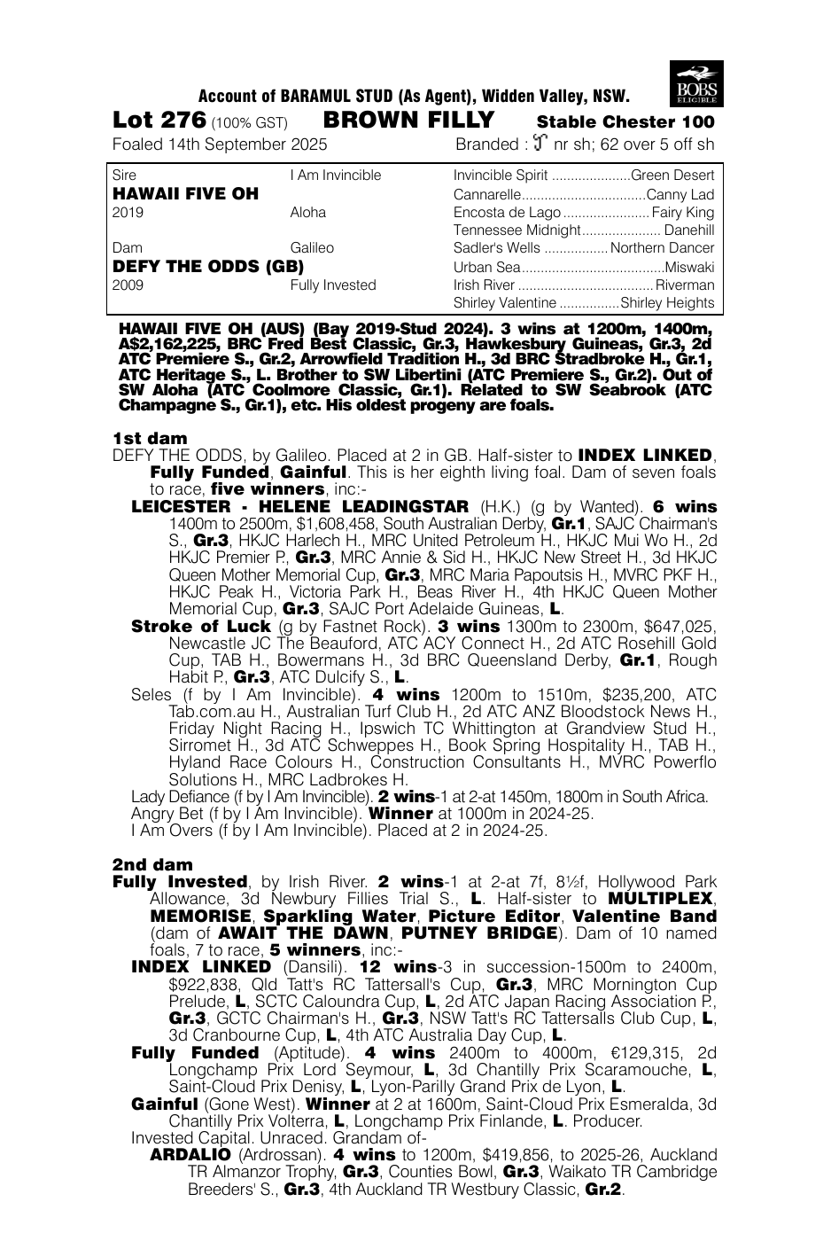 Pedigree - Lot 276