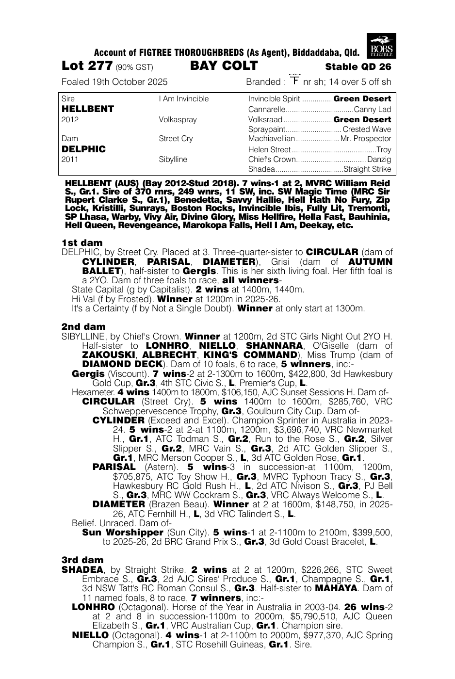 Pedigree - Lot 277
