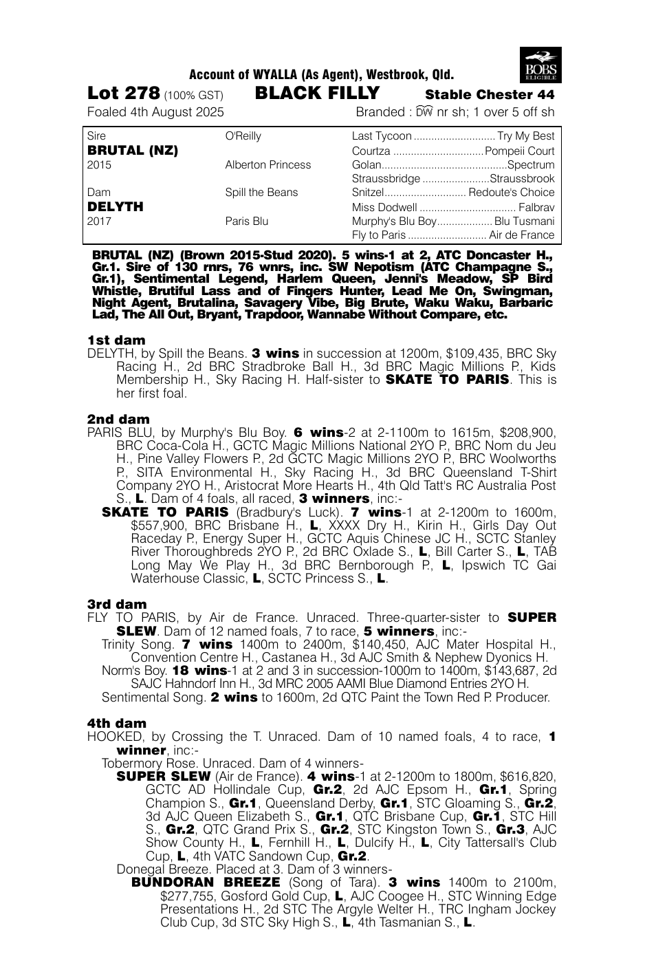 Pedigree - Lot 278