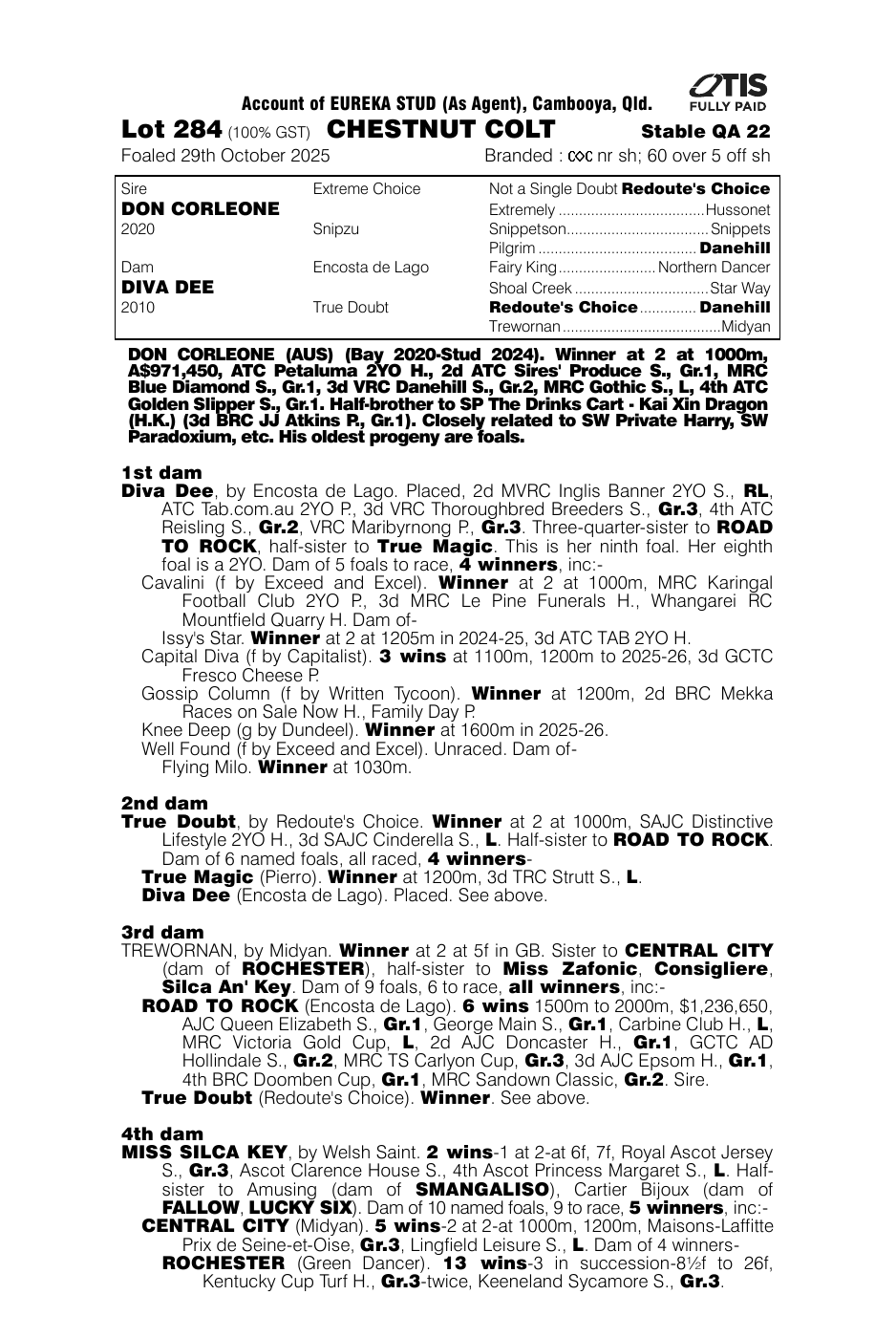 Pedigree - Lot 284