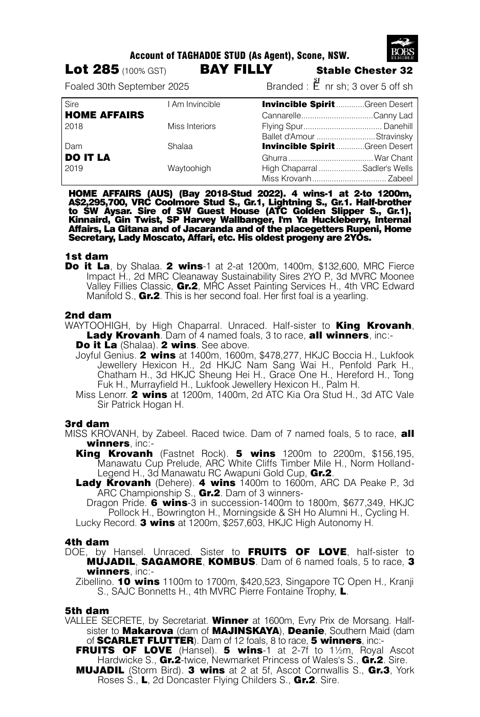 Pedigree - Lot 285