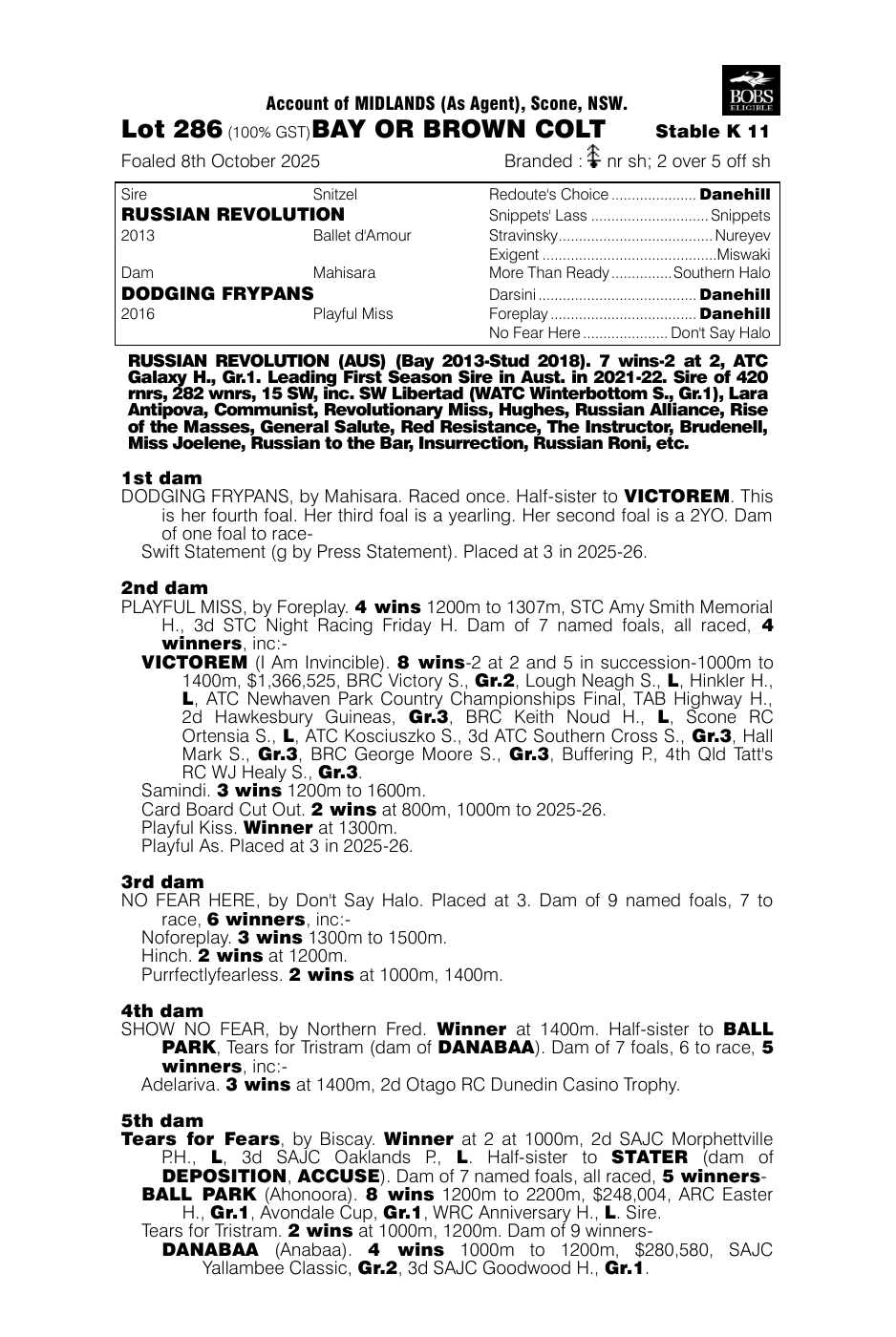 Pedigree - Lot 286