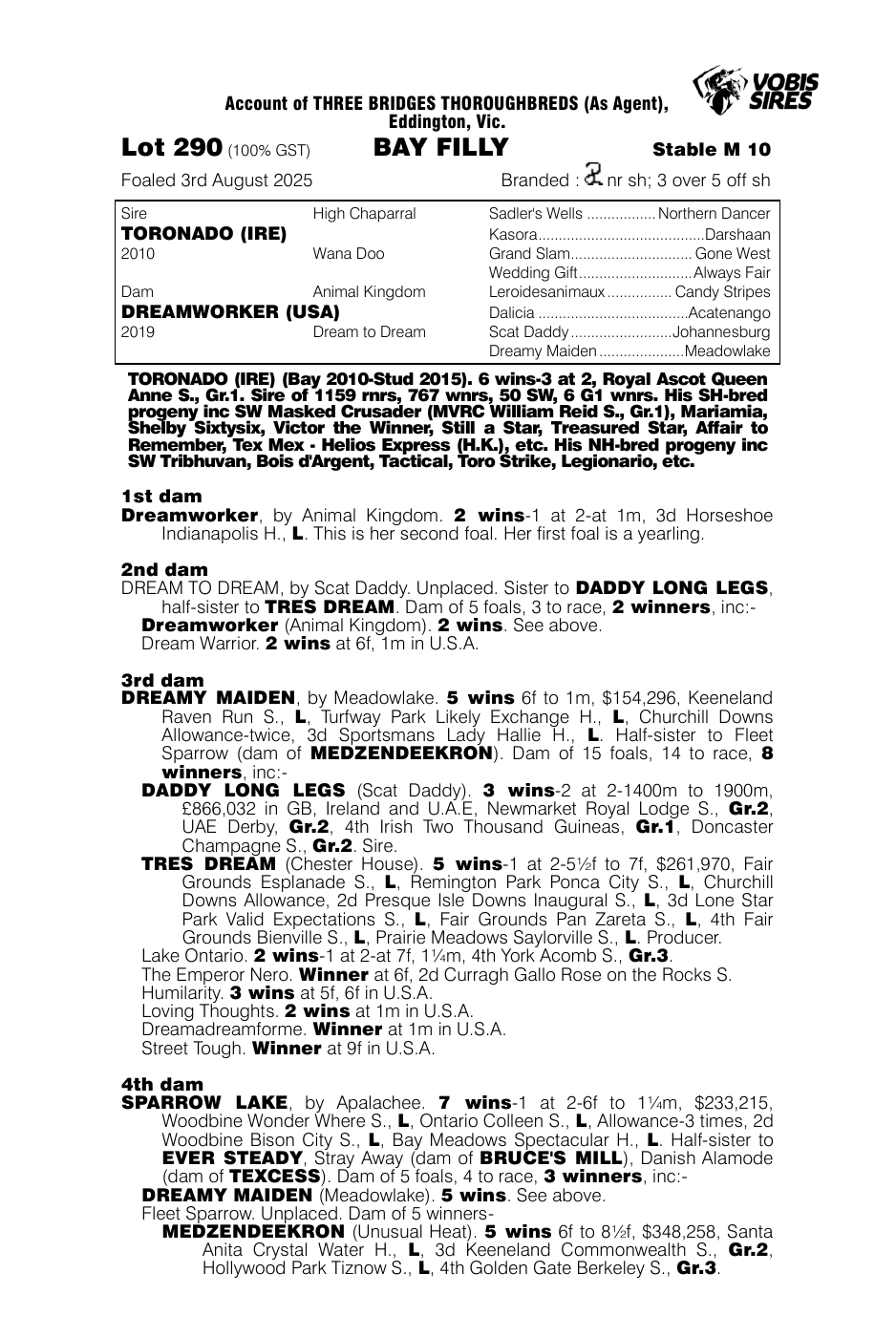 Pedigree - Lot 290