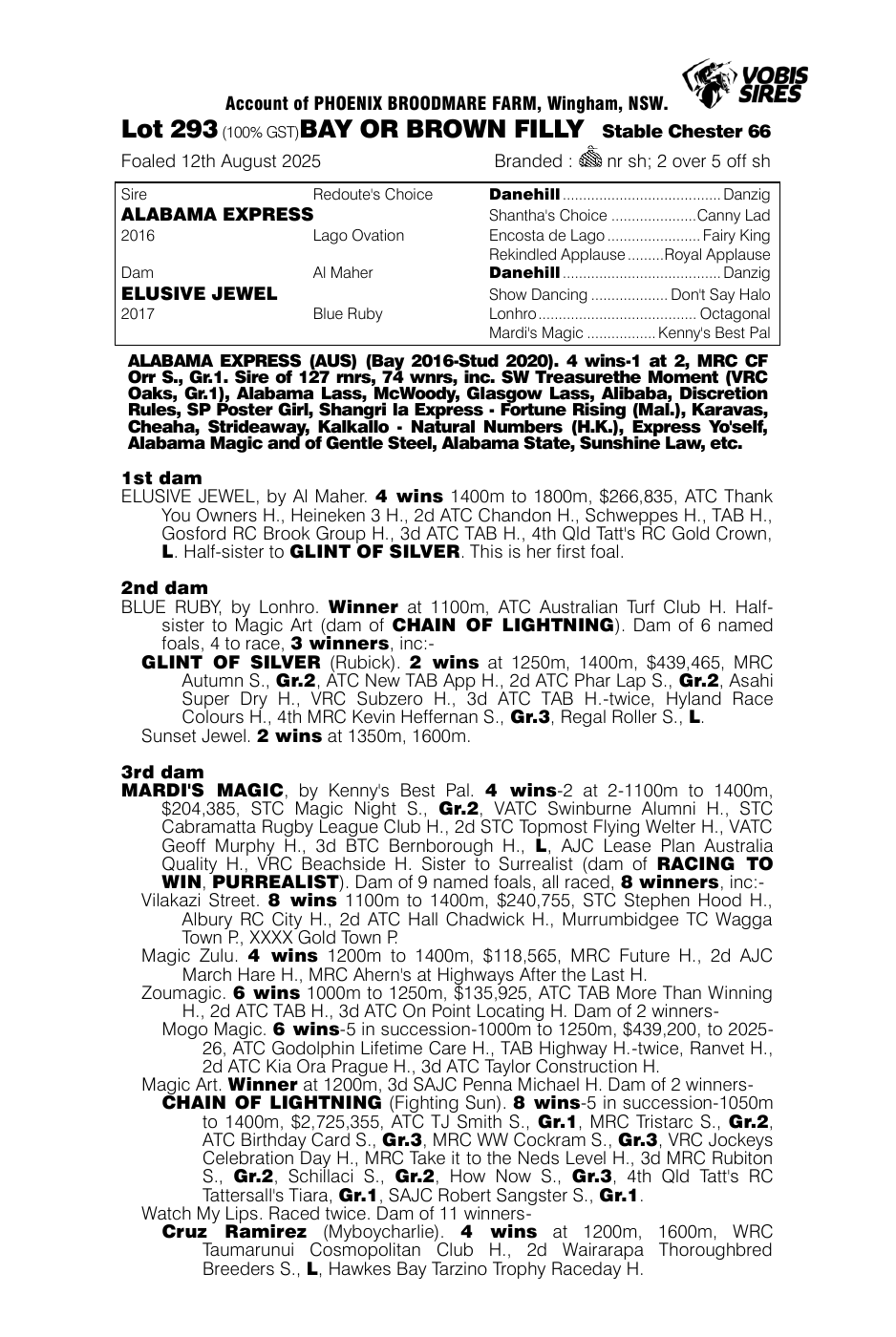 Pedigree - Lot 293