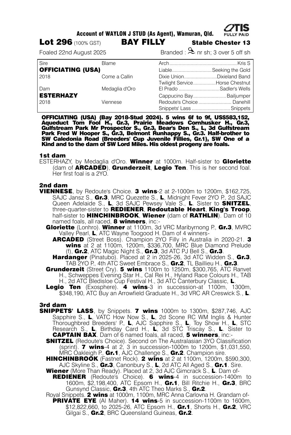 Pedigree - Lot 296