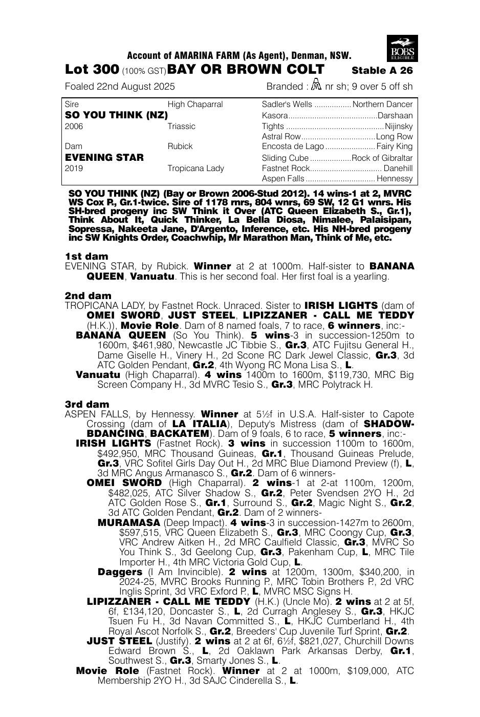 Pedigree - Lot 300