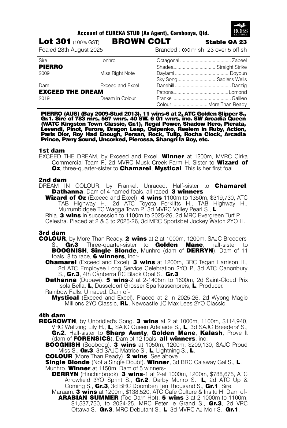 Pedigree - Lot 301