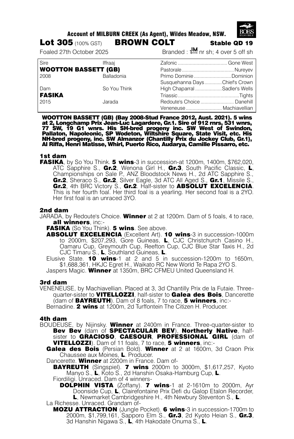 Pedigree - Lot 305