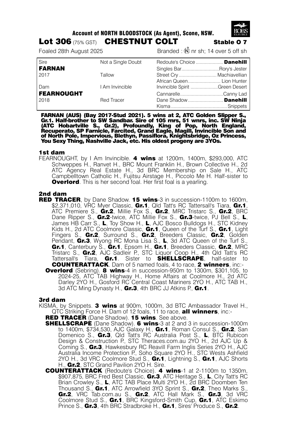 Pedigree - Lot 306