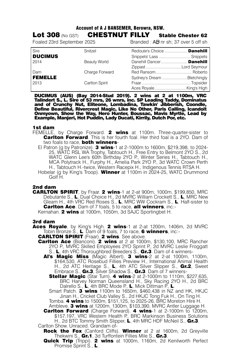 Pedigree - Lot 308
