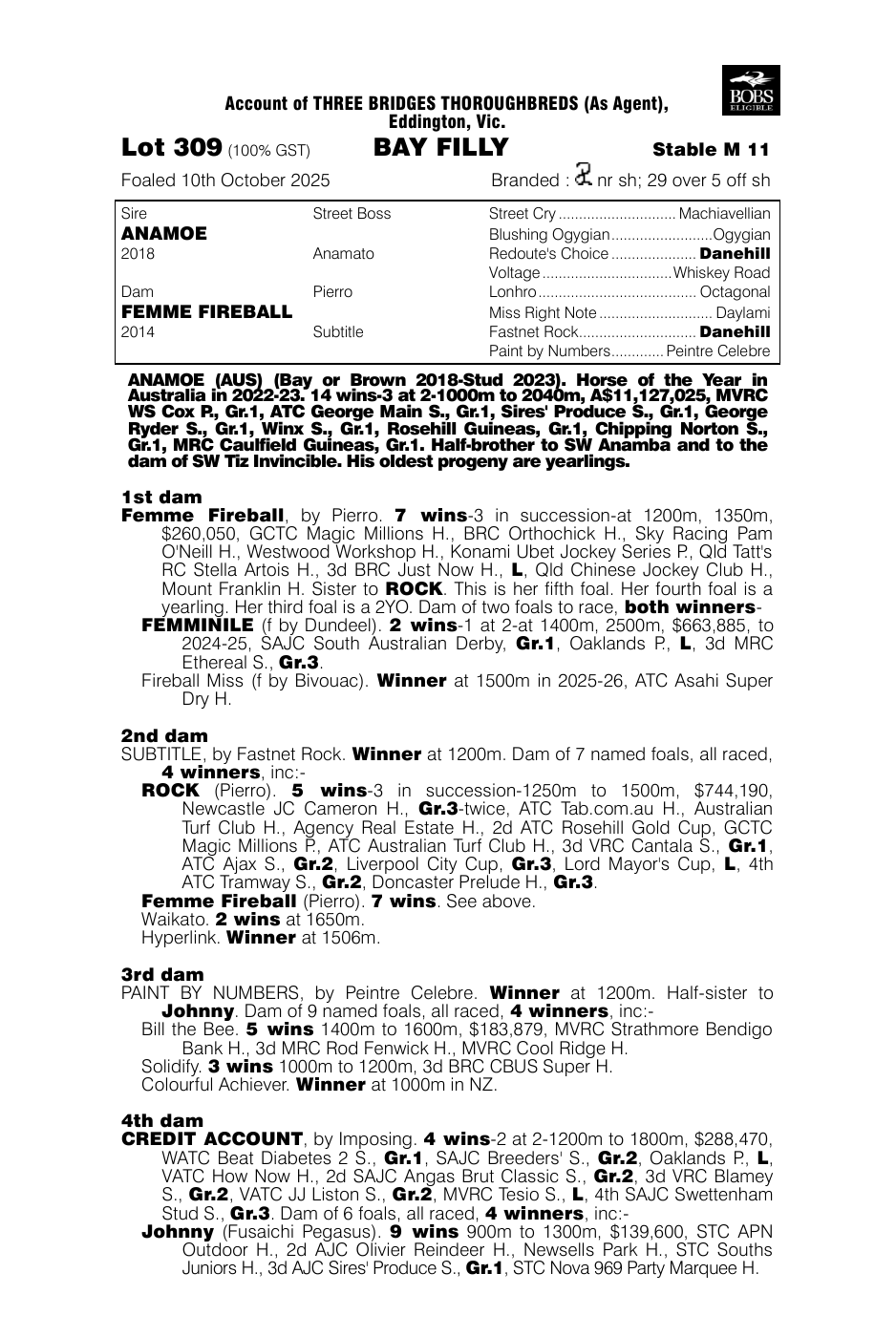 Pedigree - Lot 309