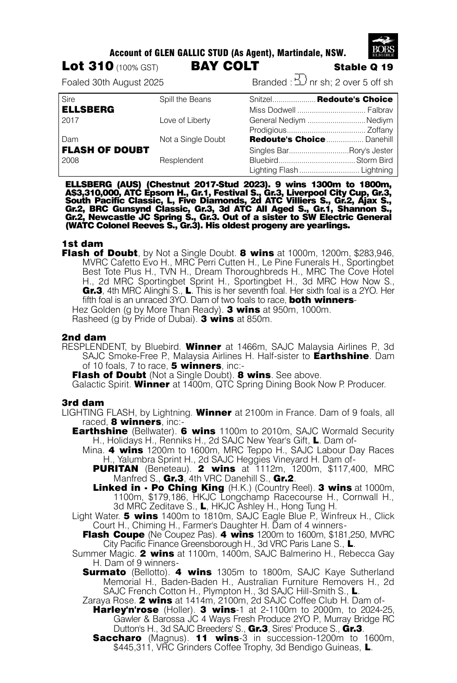 Pedigree - Lot 310
