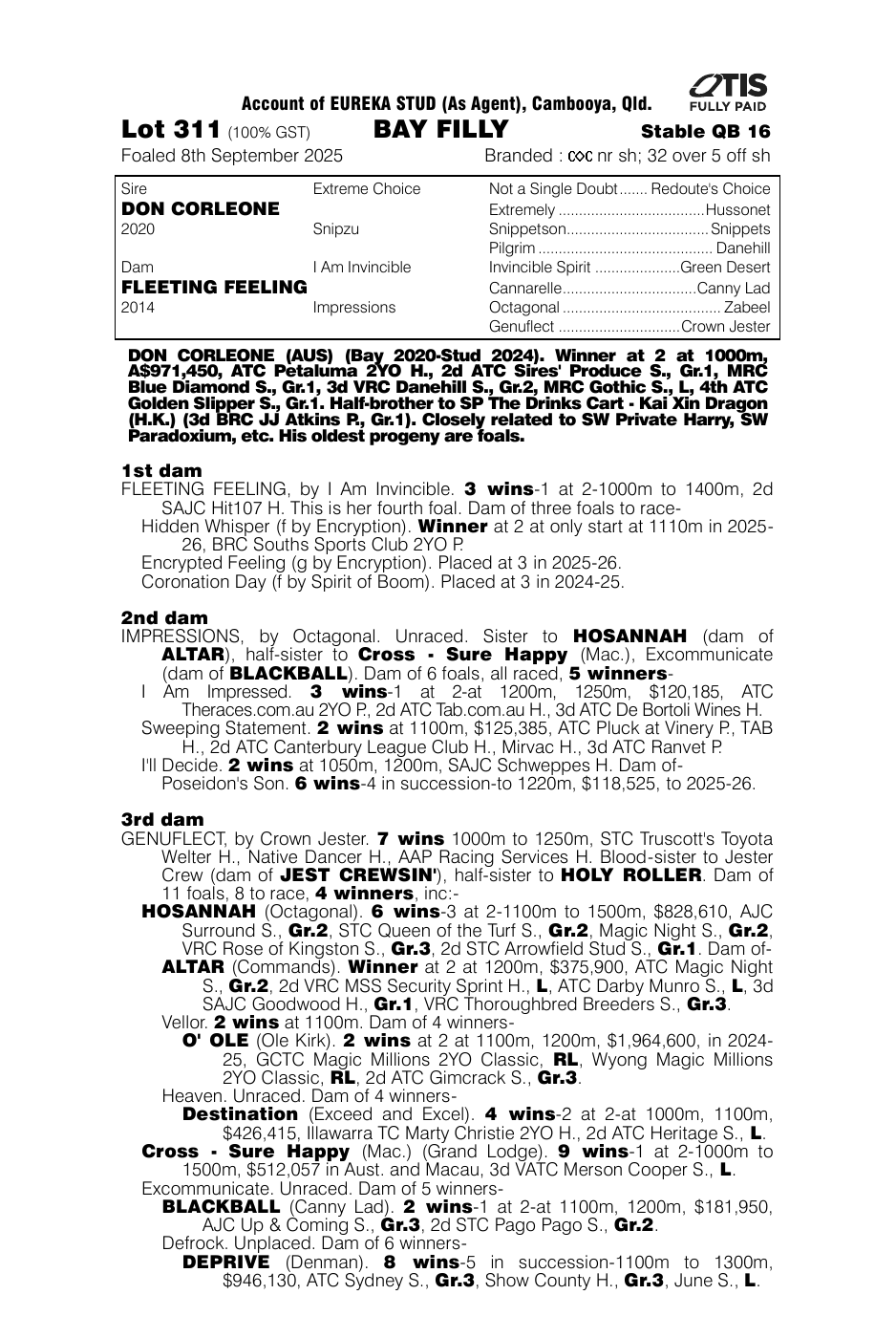 Pedigree - Lot 311