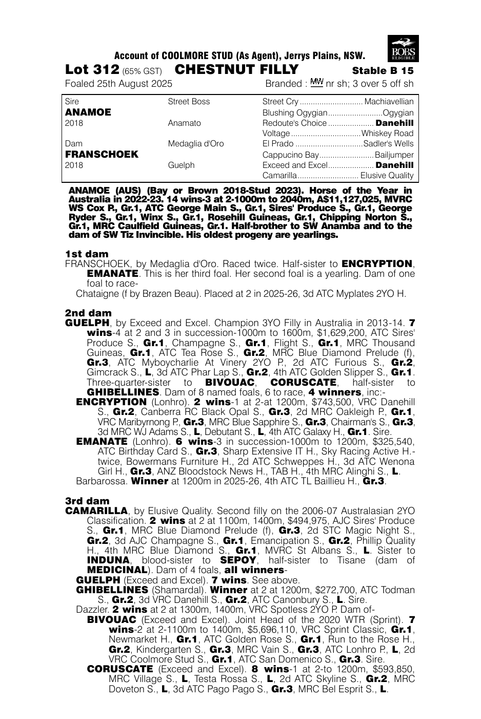 Pedigree - Lot 312