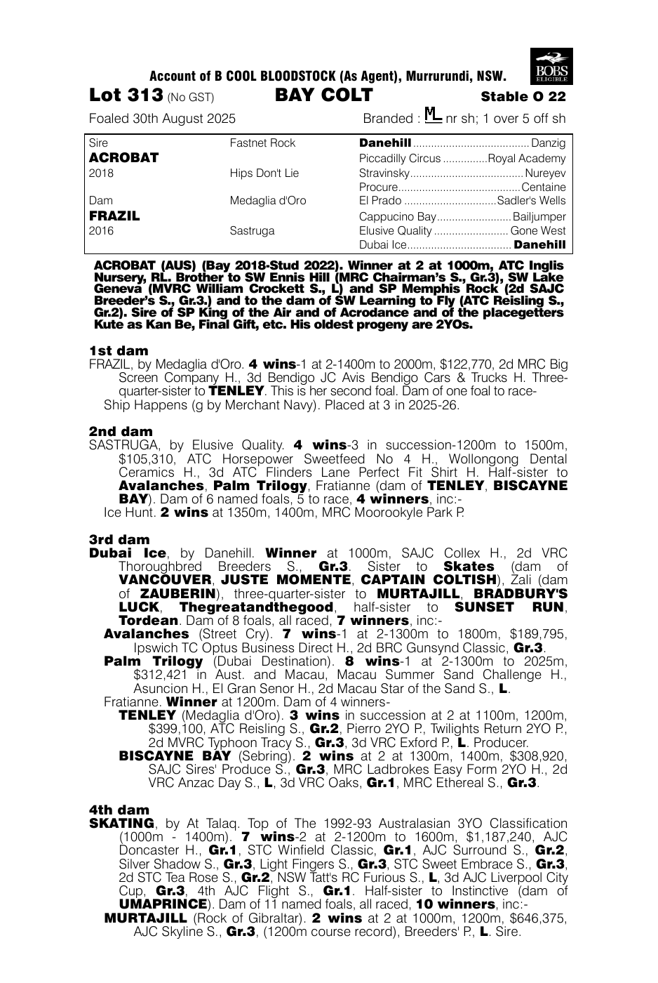 Pedigree - Lot 313