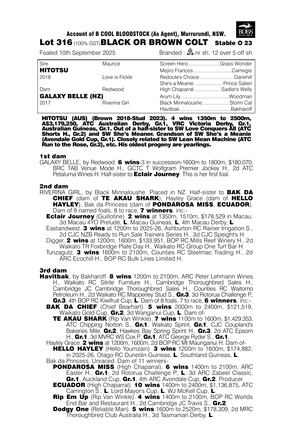 Pedigree - Lot 316