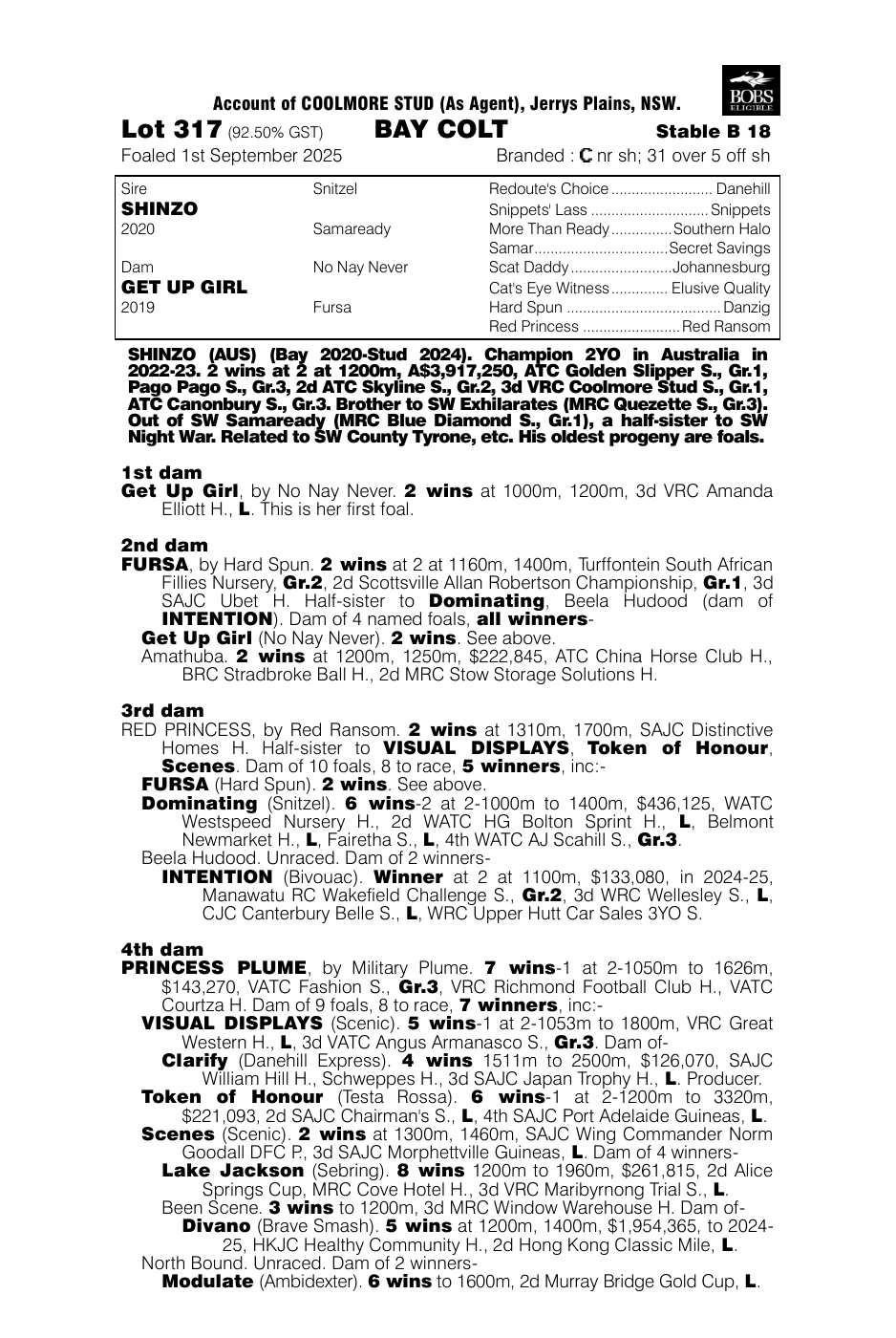 Pedigree - Lot 317