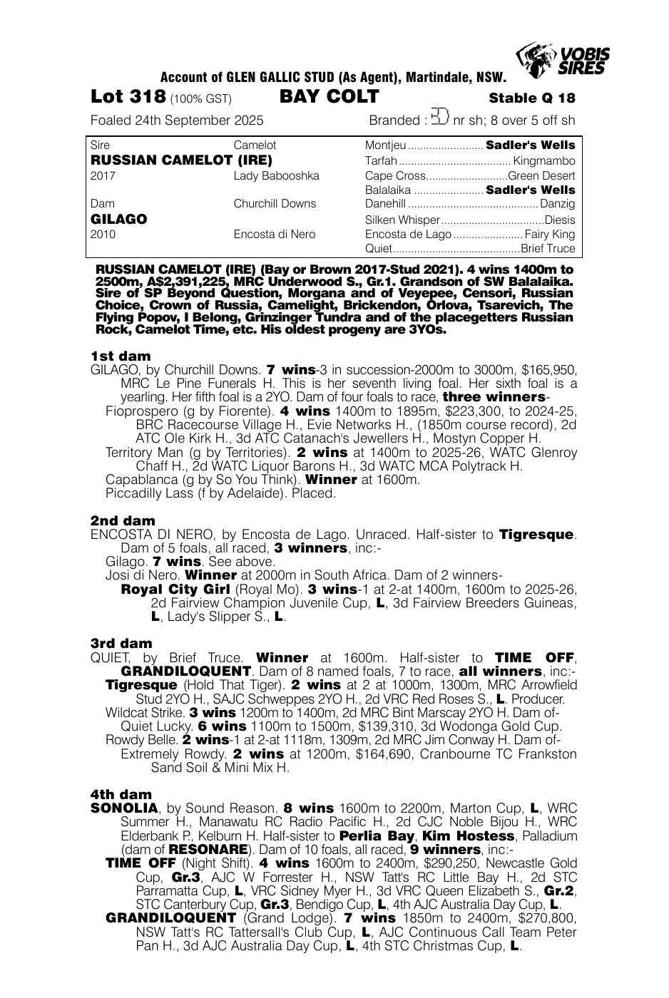 Pedigree - Lot 318